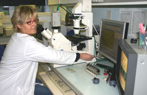 Ifremer the lab